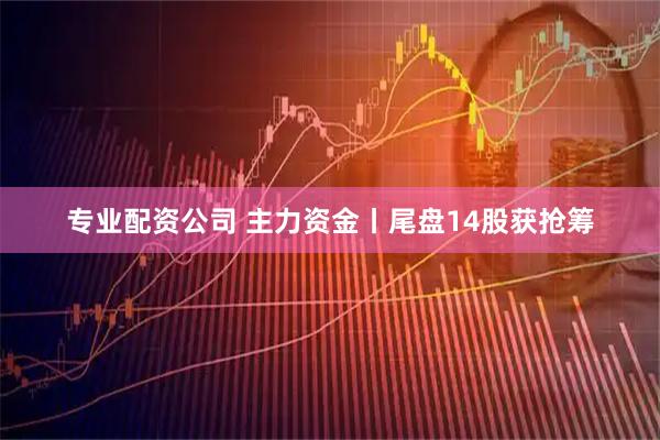 专业配资公司 主力资金丨尾盘14股获抢筹